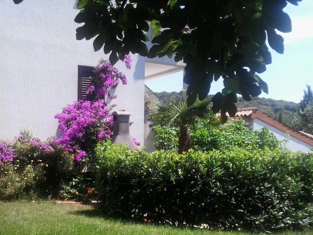 Apartment Iva Pula Exterior photo